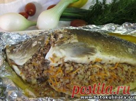 Карп фаршированный гречкой - Вторые блюда - Кулинарные рецепты ! - ФотоКулинария