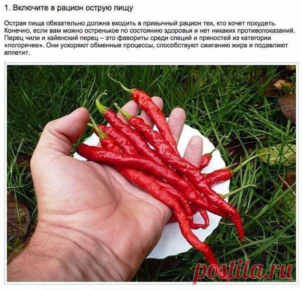 Полезные привычки здорового человека