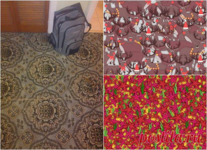 На этих картинках спрятано много полезных вещей, но сможете ли вы найти их все? Черепаха нашла себе укромное местечко на ковре своего хозяина. Однако, если кто-то будет мимо проходить, то вполне может наступить на животное, так как панцирь черепахи сливается с узором ковра и даже...