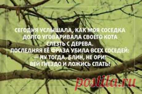 Картинки для настроения | 5минутка