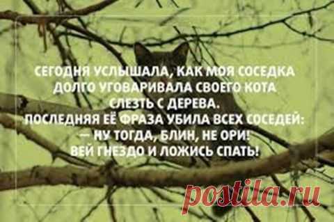 Картинки для настроения | 5минутка