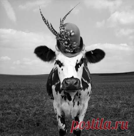 Внешность - это, конечно, козырь, но не туз! Интересные новости