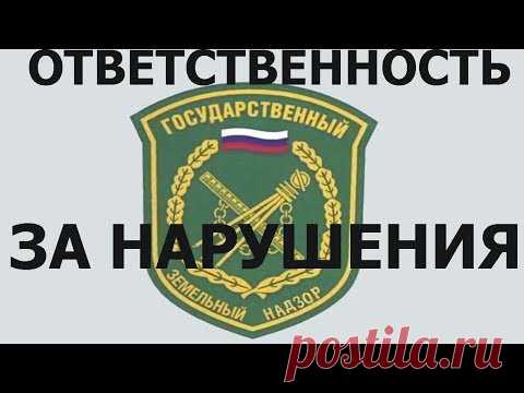 Земельный надзор. Ответственность за нарушение земельного законодательства. Помощь юриста
