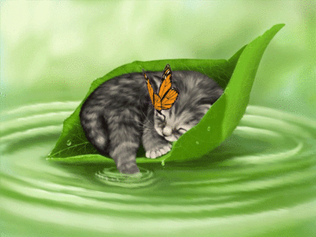 544b5acea2fcf972193f7242b3eb6c43.gif (604×453)