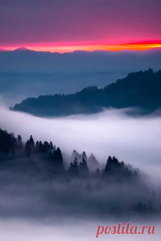 (7) Tumblr