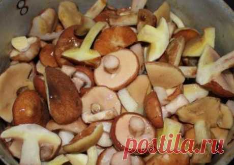 Очень вкусные блюда из маслят