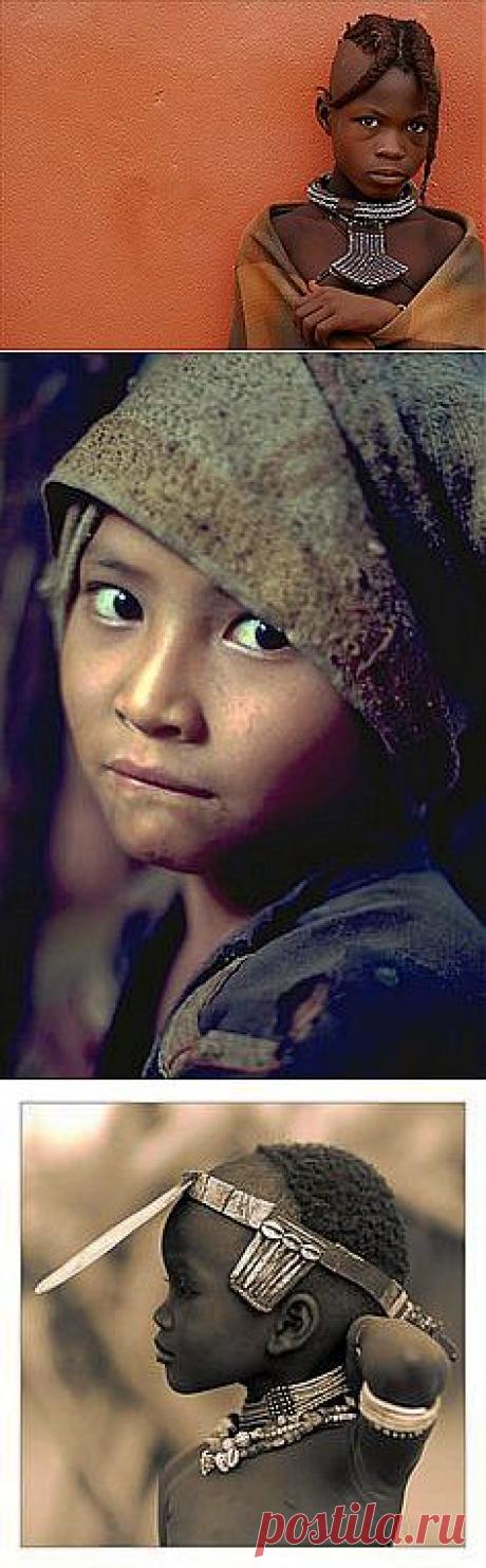 rural wrap | Windows to the Soul