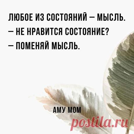 fb6e1e7f76f4d3180e45b2e3e850ce01.jpg (750×750)