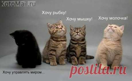 Желания. | KotoMail.ru