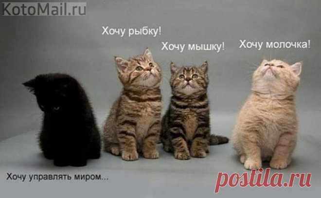 Желания. | KotoMail.ru