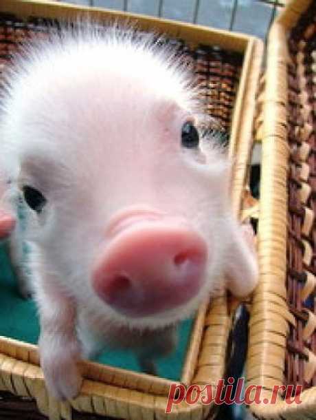 Как можешь ты кого-то любить, не любя его таким, каков он есть на самом деле? Как можешь ты любить меня и в то же время просить меня полностью измениться, стать кем-то другим? / Мамина лаборатория