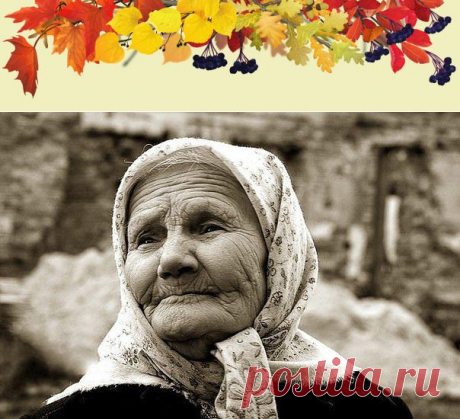 (1) Одноклассники