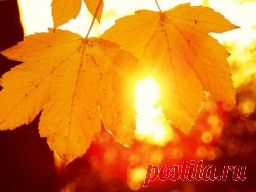 День осеннего равноденствия 23 сентября 2018 года На Земле в Северном полушарии вовсю бушует осень, но астрономическая осень еще только начинается. 23 сентября день и ночь станут равными, провозгласив приближение зимы и холодов.