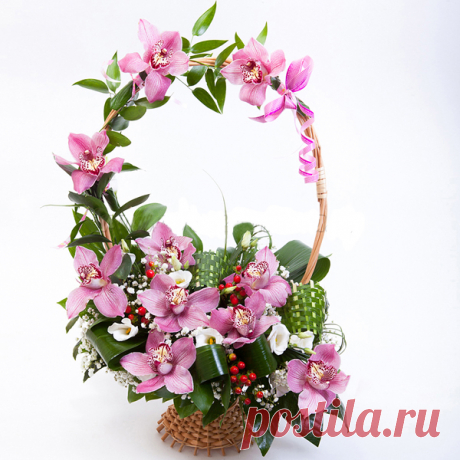 Заказать Сады Версаля c доставкой по Краснодару