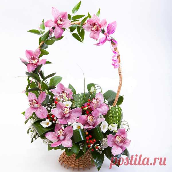 Заказать Сады Версаля c доставкой по Краснодару