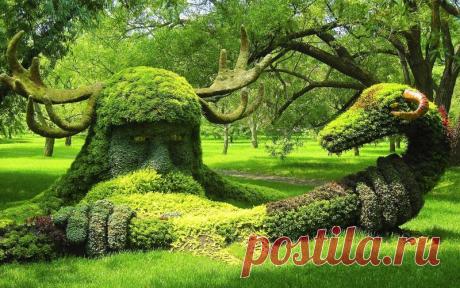 1703_e6bt.jpg (800×500)