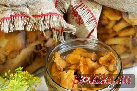 Консервированные лисички на зиму - фото рецепт приготовления в домашних условиях / рецепт с фото