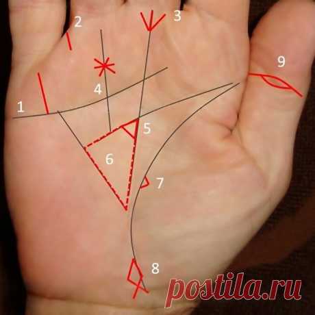 🖐🏻Денежный треугольник и другие денежные линии🖐🏻 | Хиромантия - заметки🔍🖐🏻 | Яндекс Дзен