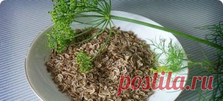 Народные рецепты для восстановления микрофлоры кишечника