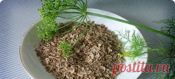 Народные рецепты для восстановления микрофлоры кишечника