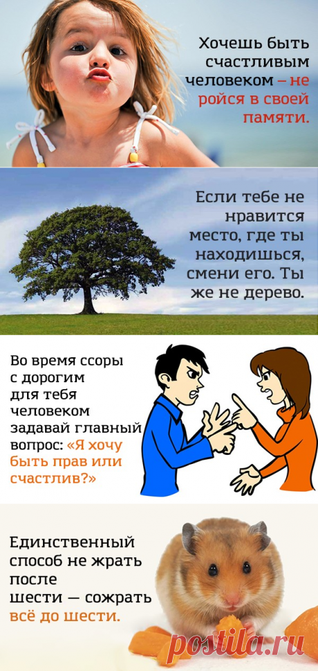 Сохрани себе эти советы в картинках и просматривай их, когда тебе будет грустно
Содержание 1. 2. 3. 4. 5. 6. 7. 8. 9. 10. 11. 12. 13. 14. 15. Когда мы разрешаем накопившиеся серьезные вопросы в своей жизни, то совсем забываем о существовании веселья и юмора. Зачастую, стоит только посмотреть на вещи с позитивной стороны, как решение этих вопросов появится самостоятельно. Наша редакция приготовила для тебя порцию свежего […]
Читай дальше на сайте. Жми подробнее ➡