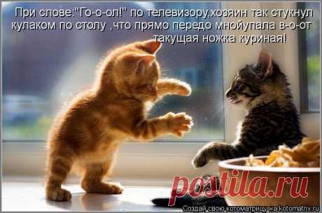 Котоматрица: Главная