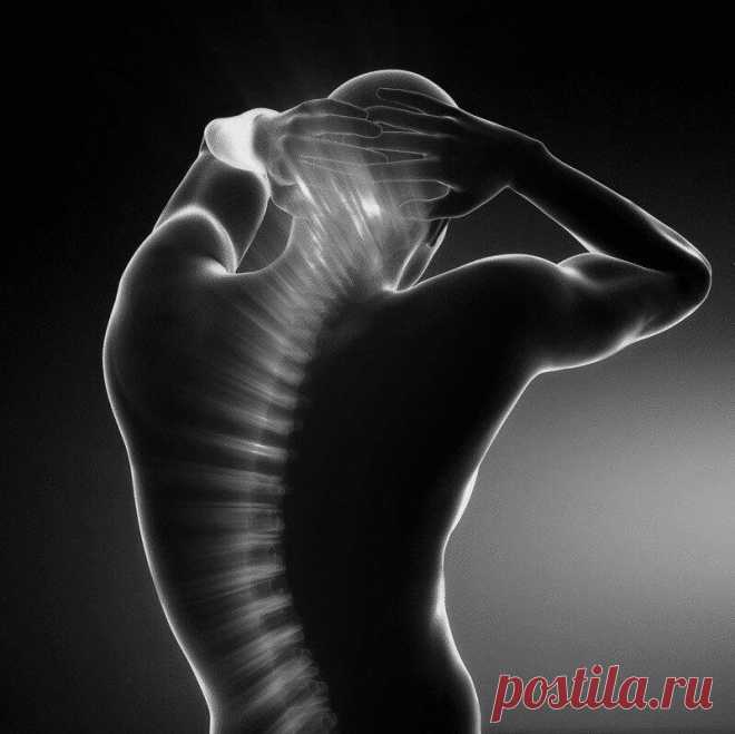 Дыхание позвоночным столбом: простое упражнение для здоровья спины — Therapymassage.gr