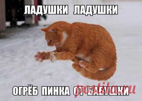 Что-то пошло не так.