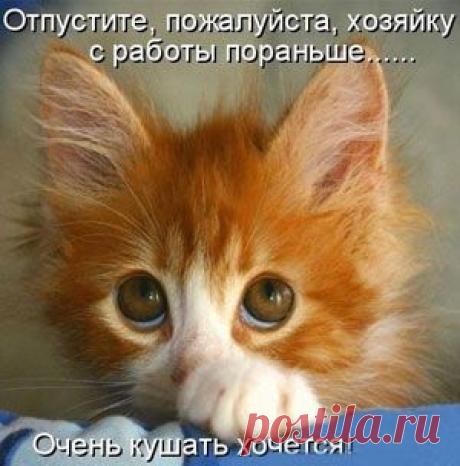 Работа для тех, кто не хочет ходить на работу. Легальный, стабильный и быстрорастущий доход, не выходя из дома. Без вложений, продаж и обмана. Получайте хорошие деньги только за то, что делитесь информацией! Хотите узнать подробности? Нажмите на картинку или перейдите по ссылке https://fl-online.umi.ru Сотрудничаем с компанией Faberlic