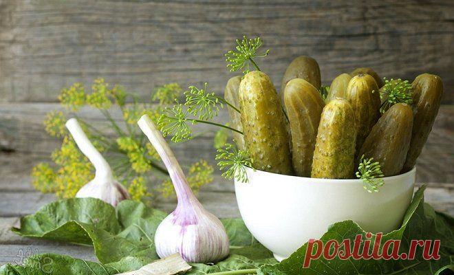 Малосольные огурчики в березовом соке | Заготовки