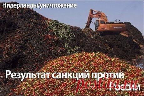 (67) Одноклассники