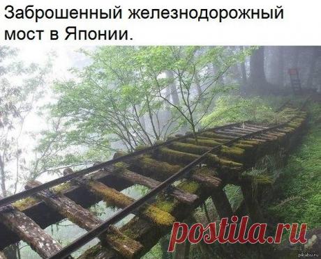 Мой Мир@Mail.Ru