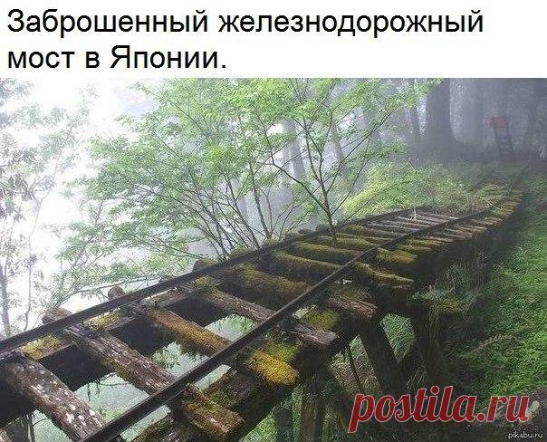 Мой Мир@Mail.Ru