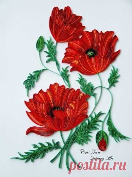 Новости Квиллинг.