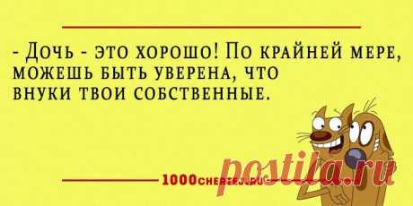25 добродушных анекдотов в карточках, заряжающие словно батарейки