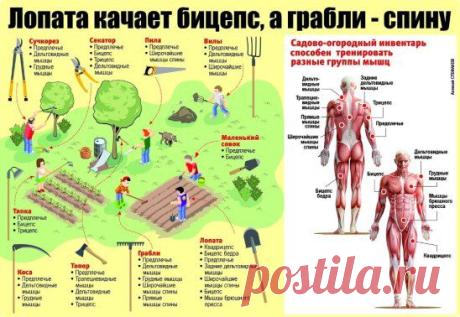 (27) Одноклассники