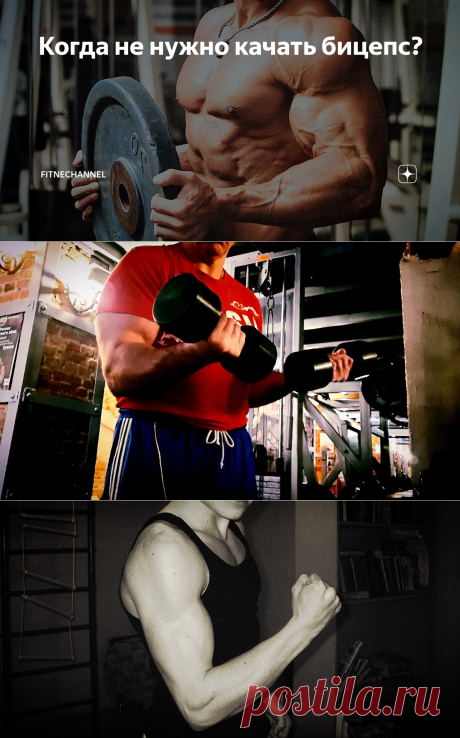 Когда не нужно качать бицепс? | fitnechannel | Яндекс Дзен