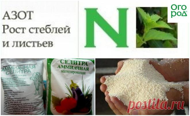 Основные правила внесения минеральных удобрений | Почва и плодородие (Огород.ru)