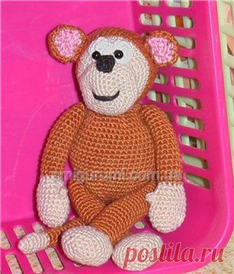 Игривая беззаботная обезьянка