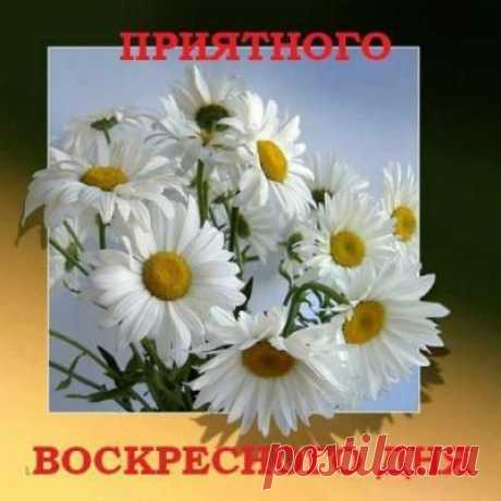 Хороших выходных дней