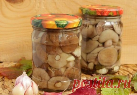 МАРИНОВАННЫЕ МАСЛЯТА 
Непередаваемый запах и вкус даров леса! 

Ингредиенты: 
маслята - 2000 г 
Показать полностью…