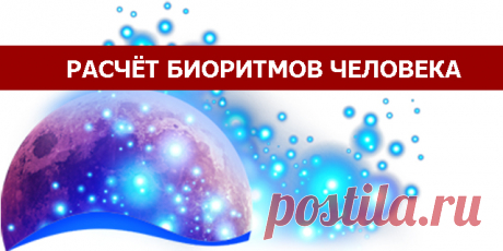 Расчёт биоритмов человека