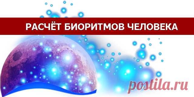 Расчёт биоритмов человека