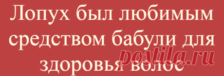 Лопух был любимым средством бабули для здоровья волос
Приветствую на моем канале, дорогие друзья! Лопух обыкновенный — это и вправду очень обыкновенный и хорошо знакомый всем сорняк, который в изобилии встречается даже в больших городах. Здесь он растет на пустырях, запущенных газонах, на любом мало-мальски свободном клочке земли. Этот представитель флоры необычайно живуч, что говорит о его огромной жизненной силе. Наши предки умели […]
Читай дальше на сайте. Жми подробнее ➡
