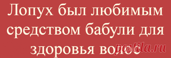 Лопух был любимым средством бабули для здоровья волос
Приветствую на моем канале, дорогие друзья! Лопух обыкновенный — это и вправду очень обыкновенный и хорошо знакомый всем сорняк, который в изобилии встречается даже в больших городах. Здесь он растет на пустырях, запущенных газонах, на любом мало-мальски свободном клочке земли. Этот представитель флоры необычайно живуч, что говорит о его огромной жизненной силе. Наши предки умели […]
Читай дальше на сайте. Жми подробнее ➡