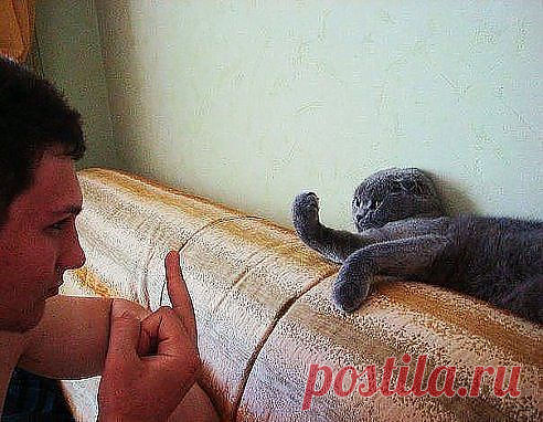 (4) Одноклассники