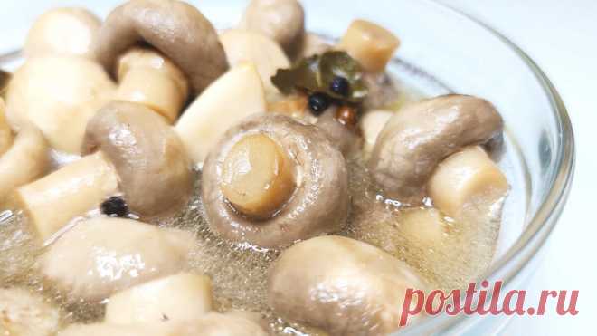 МАРИНОВАННЫЕ ШАМПИНЬОНЫ. Так ВКУСНО, что готовлю их уже ДВЕ НЕДЕЛИ ПОДРЯД КАЖДЫЙ ДЕНЬ! | Дарья Стрелкова | Яндекс Дзен