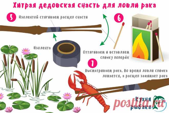 Ловля раков на камыш. Старинный дедовский метод | Кухня рыбака | Яндекс Дзен
