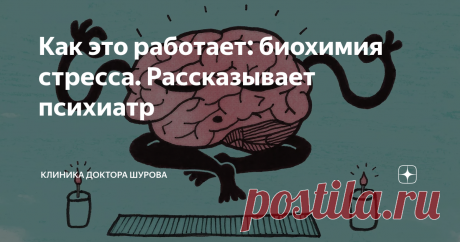 Как это работает: биохимия стресса. Рассказывает психиатр В ответ на новый раздражитель в организме происходят изменения, вызывающие стресс. Это биохимический процесс, который протекает без сознательного контроля. Психиатр и психотерапевт клиники «Первый шаг» Екатерина Шурова объяснила механизм стресса и рассказала, почему это состояние может быть полезным.
