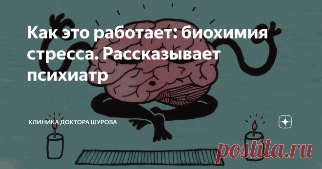 Как это работает: биохимия стресса. Рассказывает психиатр В ответ на новый раздражитель в организме происходят изменения, вызывающие стресс. Это биохимический процесс, который протекает без сознательного контроля. Психиатр и психотерапевт клиники «Первый шаг» Екатерина Шурова объяснила механизм стресса и рассказала, почему это состояние может быть полезным.
